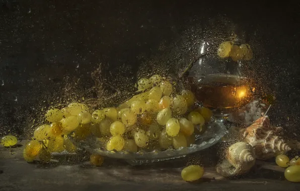 Picture glass, glass, wine, shell, still life, grapes, drops