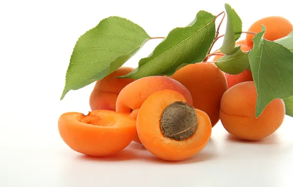 Leaves, branch, fruit, bone, apricots