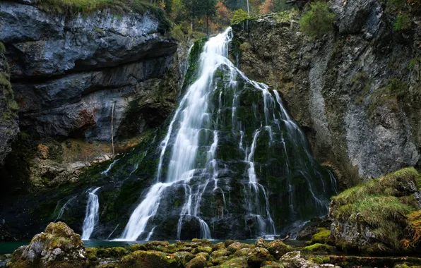 Forest, trees, rock, stones, height, waterfall, moss, Austria