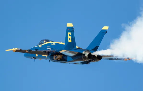 Picture flight, F/A-18, Hornet, Blue Angels