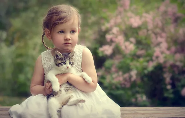 Portrait, girl, kitty