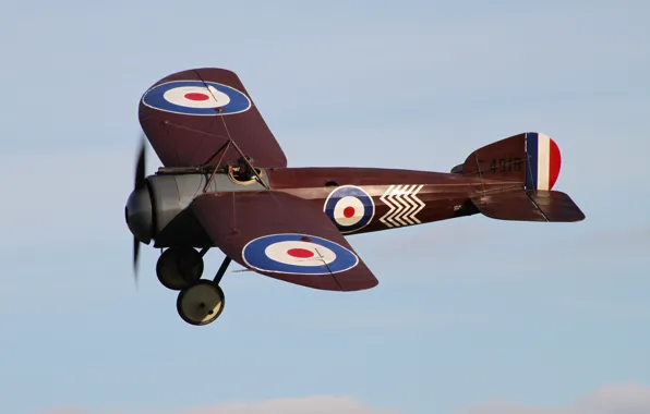Fighter, war, biplane, world, First, Bristol M.1C