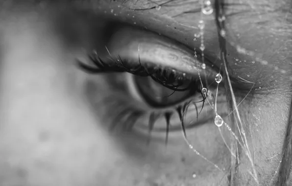 Drops, eyes