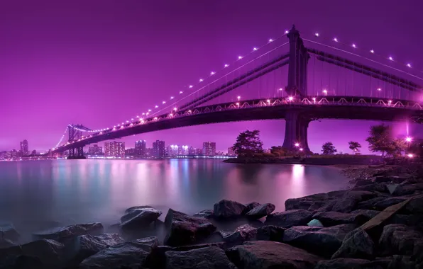 Bridge, Night, The city, Shore