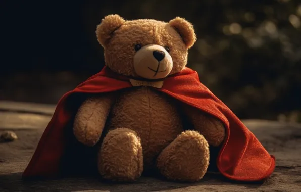 Toy, bear, bear, bear, cloak, plush, Teddy, Cape