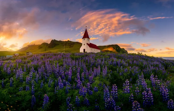 Field, summer, clouds, flowers, mountains, dawn, hills, morning