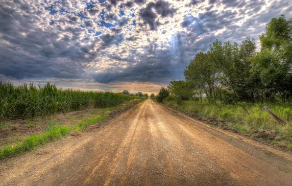 Road, field, clouds, corn, the rays of the sun