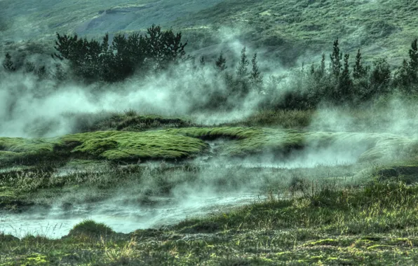 Green, grass, trees, nature, water, fog, Iceland, geothermal area