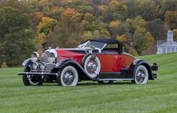 1929, Boattail, Speedsterster, Auburn 8-90, Auburn 8-90 Boattail Speedsterster
