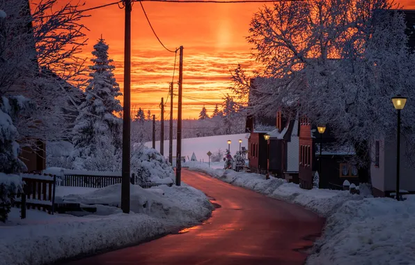 Picture winter, road, forest, snow, sunset, house, town, Anne Köhler