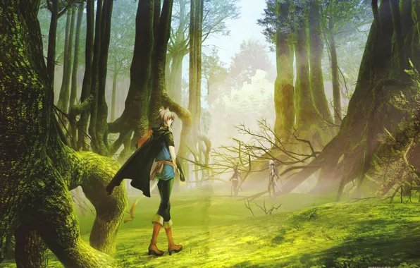 Picture forest, trees, nature, anime, art, guys, cloak, ears