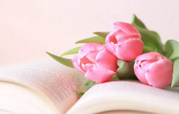 Picture flowers, tulips, book