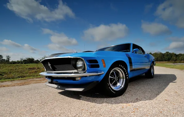 Boss 302, Ford Mustang, 1970, Fastback