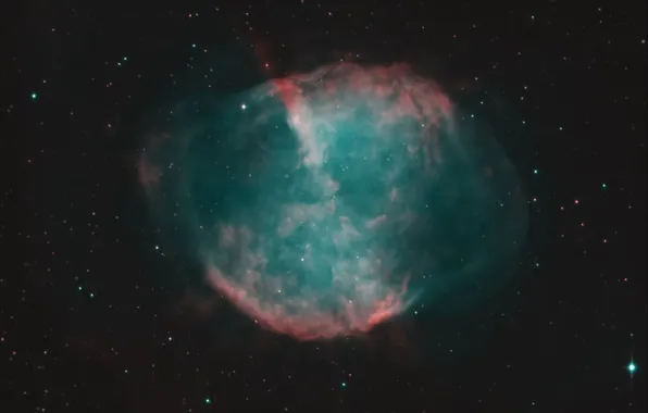 Nebula, Fox, planetary, dumbbells, is, in the constellation