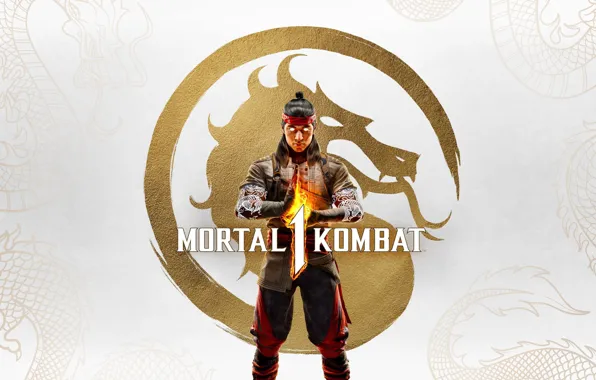 The game, Fighting, Game, Mortal Kombat, Fighting game, NetherRealm Studios, Mortal Kombat 1, Warner Bros …