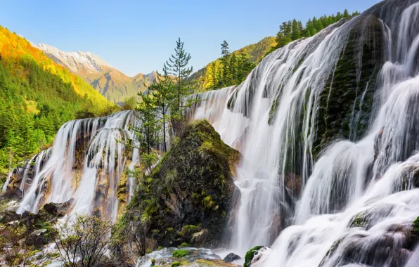 Picture cascade, Nature, Waterfall, Trees