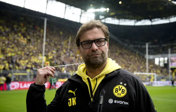 Football, sport, football, Sport, BVB, Dortmund, Borussia, Borussia