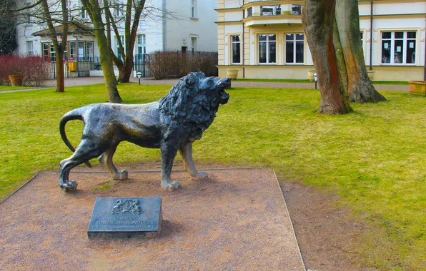 Park, lion, statua, monument