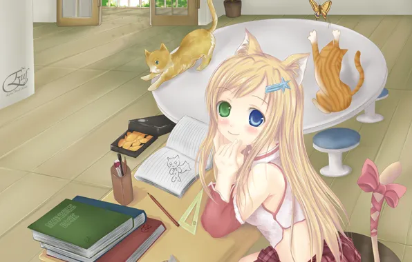 Picture cat, room, butterfly, anime, art, girl, neko, lesson