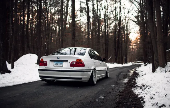 Picture winter, forest, trees, BMW, BMW, white, E46, 325i