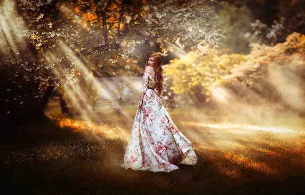 Picture look, girl, rays, nature, pose, garden, dress, beautiful