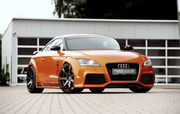 Picture Audi, Audi, coupe, 2011, Coupe, Rieger
