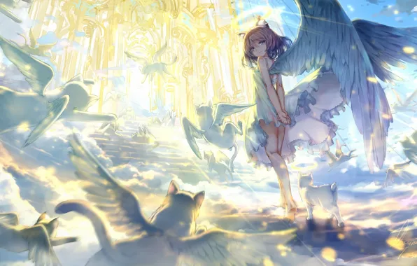 Animals, the sky, cat, girl, clouds, light, wings, angel