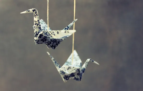 Birds, twine, origami, birds, origami, twine, suspended, suspended
