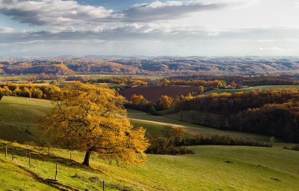 Picture autumn, trees, hills, field