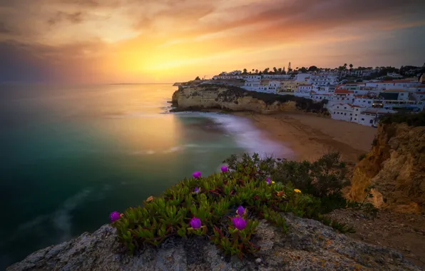 Beach, sunset, flowers, rocks, coast, building, home, Portugal