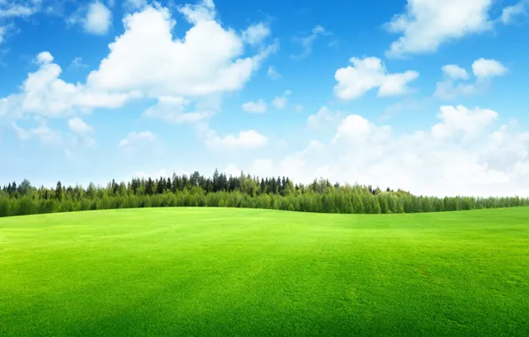 The sky, clouds, trees, landscape, nature, sky, trees, landscape