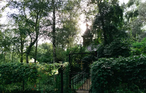 Summer, the sky, trees, nature, temple, Russia, wicket, August