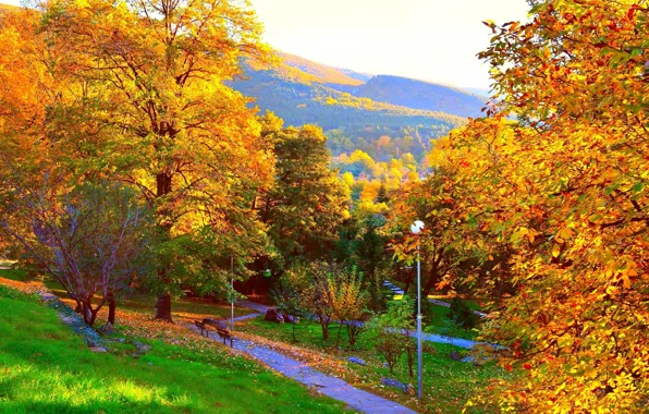 Picture autumn, trees, mountains, Park, Nature, colors, track, falling leaves
