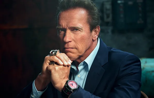 Picture look, pose, portrait, costume, actor, celebrity, bodybuilder, Arnold Schwarzenegger