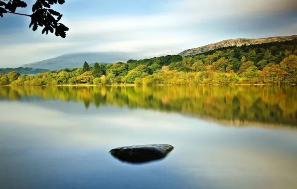 Forest, mountains, nature, river