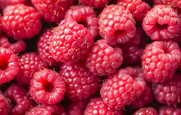 Light, berries, raspberry, harvest, a lot, ripe, juicy, AI art