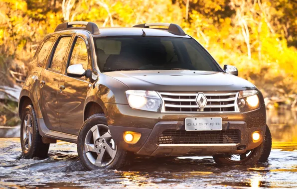 Forest, water, stream, the front, renault, Reno, crossover, duster