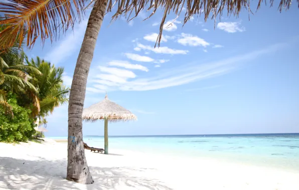 Stay, island, chaise, the Maldives, white sand, Seychelles