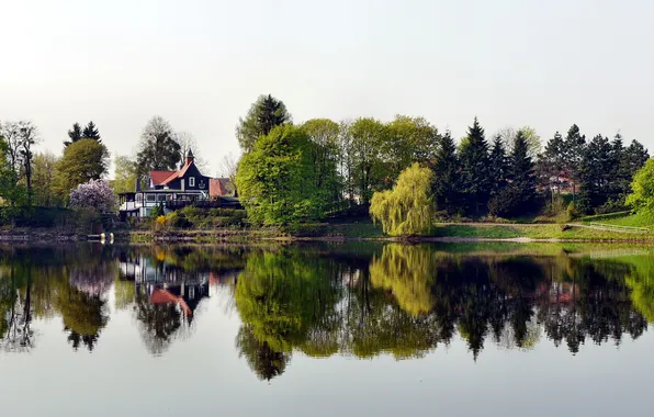 Picture the city, river, photo, Germany, house, Hertzberg