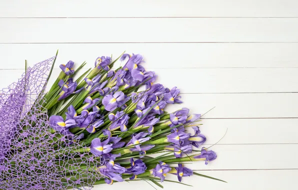 Flowers, bouquet, irises, flowers, purple, iris