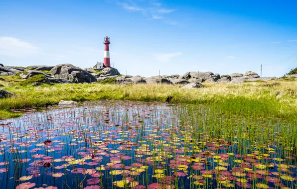 Summer, sky, lighthouse, pond