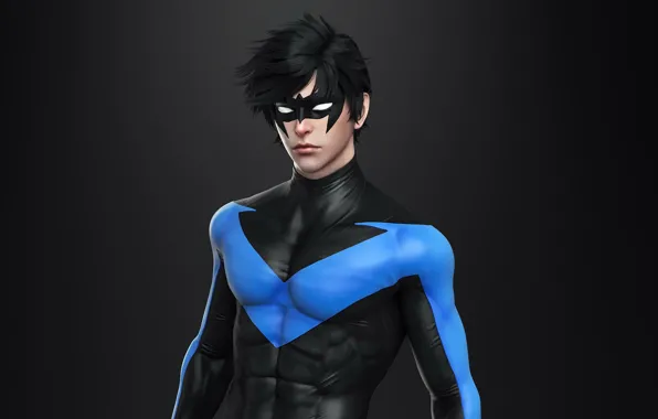 Picture mask, costume, hero, suit, DC Comics, Dick Grayson, Nightwing, Dick Grayson