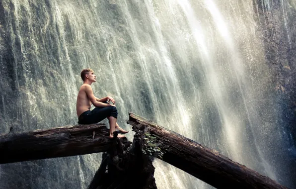 Picture tree, waterfall, guy