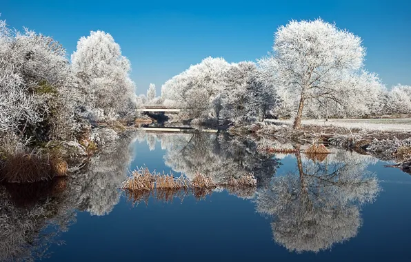 Picture winter, frost, trees, nature, lake, pond, Park, reflection