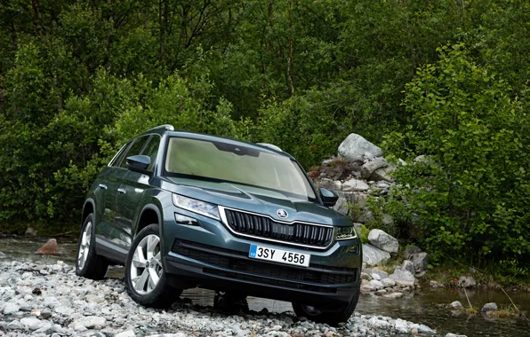 Water, stones, shrub, SUV, Skoda, Skoda, 2016, Kodiaq