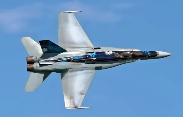 Picture aviation, the plane, CF-18 Hornet