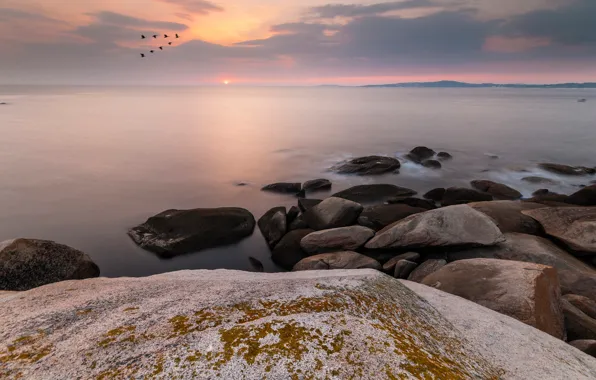 Picture sea, the sky, the sun, clouds, stones, dawn, bird, shore