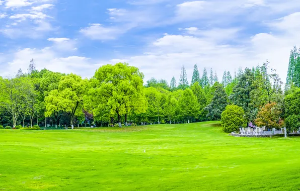 Greens, field, forest, clouds, trees, Park, blue, lawn