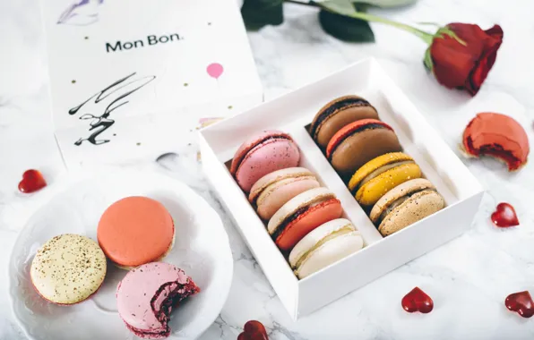 Rose, set, macaroon