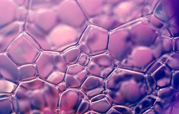 Bubbles, purple, wallpapers